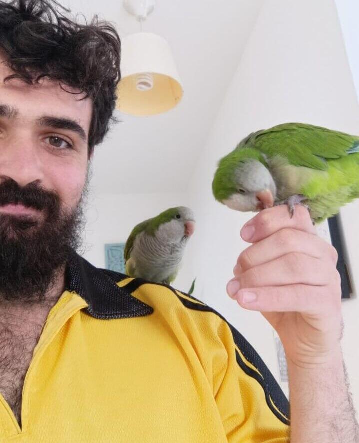 גיא שטיין