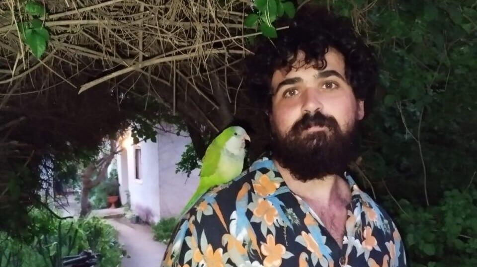 גיא שטיין