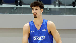 שרף