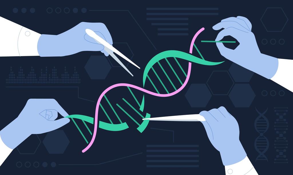עריכת DNA