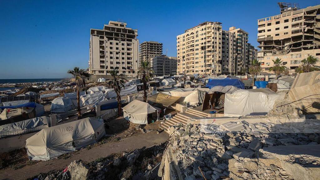 עקורים מקימים אוהלים בנמל הדייגים ובחוף עזה