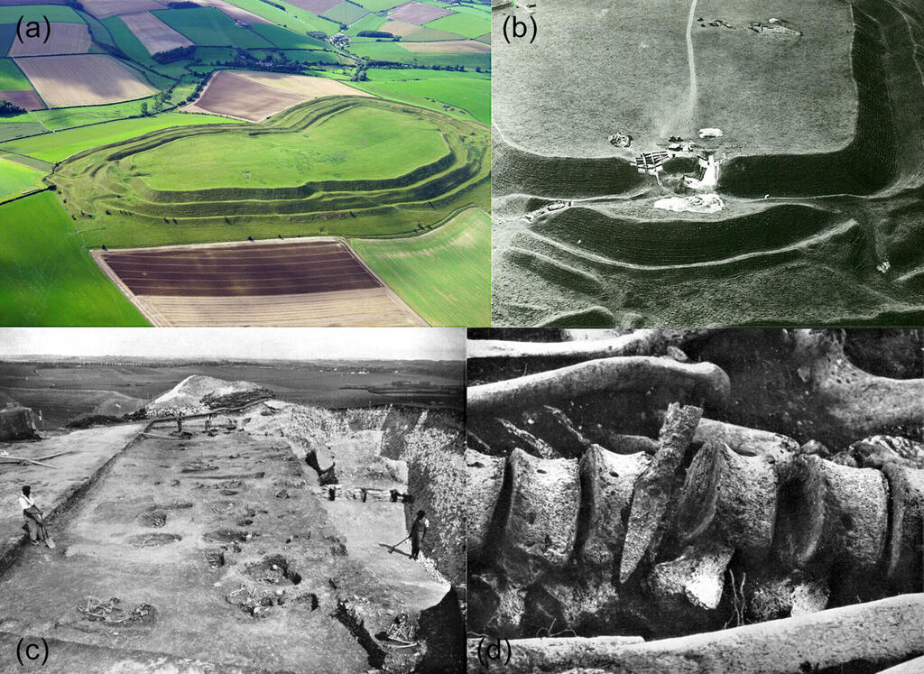 Excavations and findings at Maiden Castle (Photo: Society of Antiquaries of London and Dorset Natural History and Archaeological Society) שטח טירת מיידן בדורסט, בו התגלה בית הקברות, לרבות הממצאים שמעידים על שימוש בנשק חד