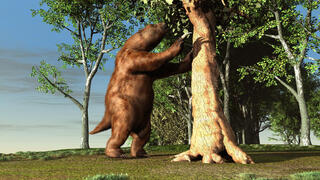 הדמיה של עצלן קרקע ענק