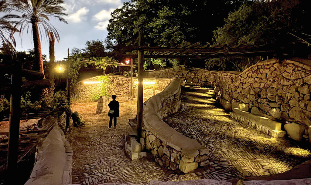 Nighttime tour in Emek Refaim