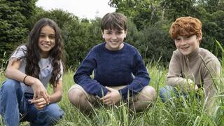 רון, הארי והרמיוני- גרסת 2025. "הארי פוטר"