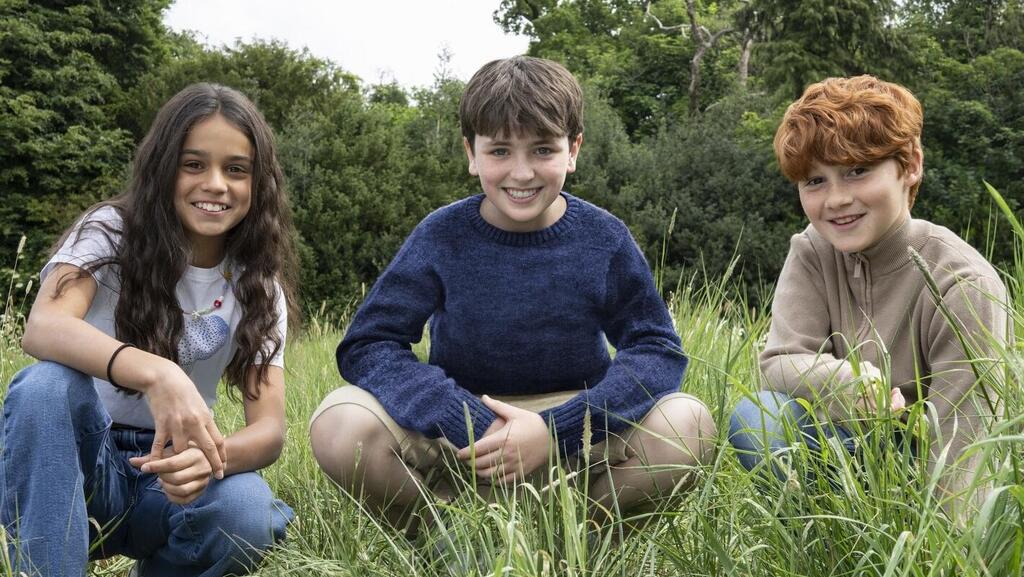 רון, הארי והרמיוני- גרסת 2025. "הארי פוטר"