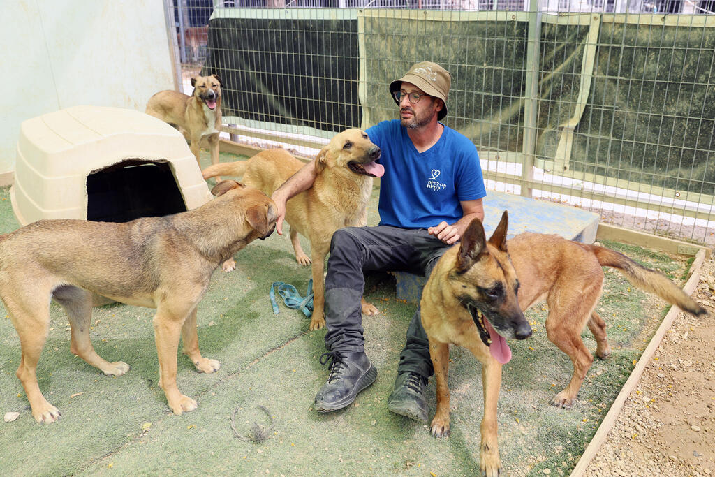 כלבים שמחכים לאימוץ עם מטפל מטעם עמותת "תנו לחיות לחיות"