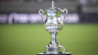 גביע המדינה