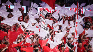 אוהדי הפועל ת"א