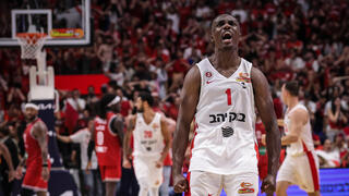 הארפר