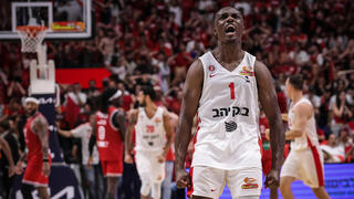 הארפר