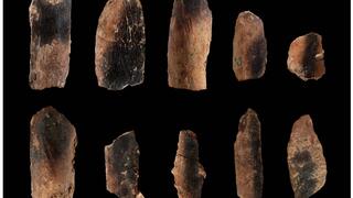 עצמות יחמור שרופות ממערת קסם