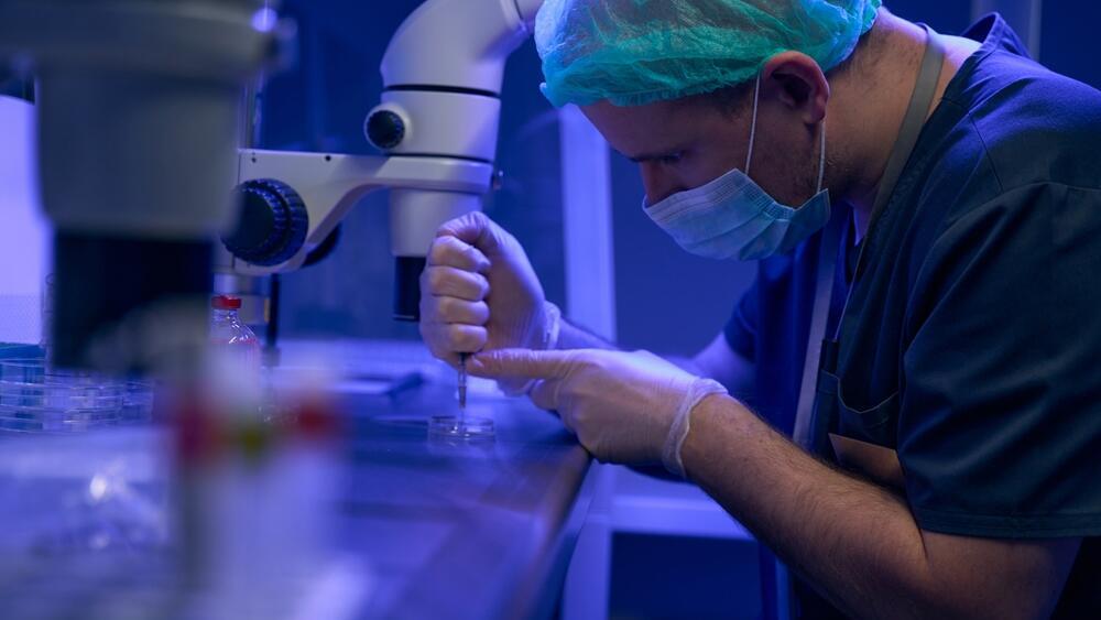 Photo: shutterstock הפריה חוץ גופית