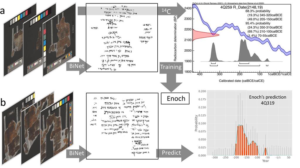Writing styles in digitized manuscripts were analyzed using BiNet, a deep neural network previously developed to detect ink trace patterns in handwriting (Illustration: Maruf Dhali, University of Groningen) סגנונות כתיבה בכתבי יד דיגיטליים נותחו באמצעות BiNet, רשת נוירונים עמוקה שפותחה בעבר לזיהוי דפוסי עקבות דיו בכתב יד. על ידי שילוב סגנונות כתיבה עם תיארוך כתבי יד מסוג פחמן-14 באמצעות בינה מלאכותית, מודל החיזוי Enoch מסוגל לתארך במדויק את כתב היד