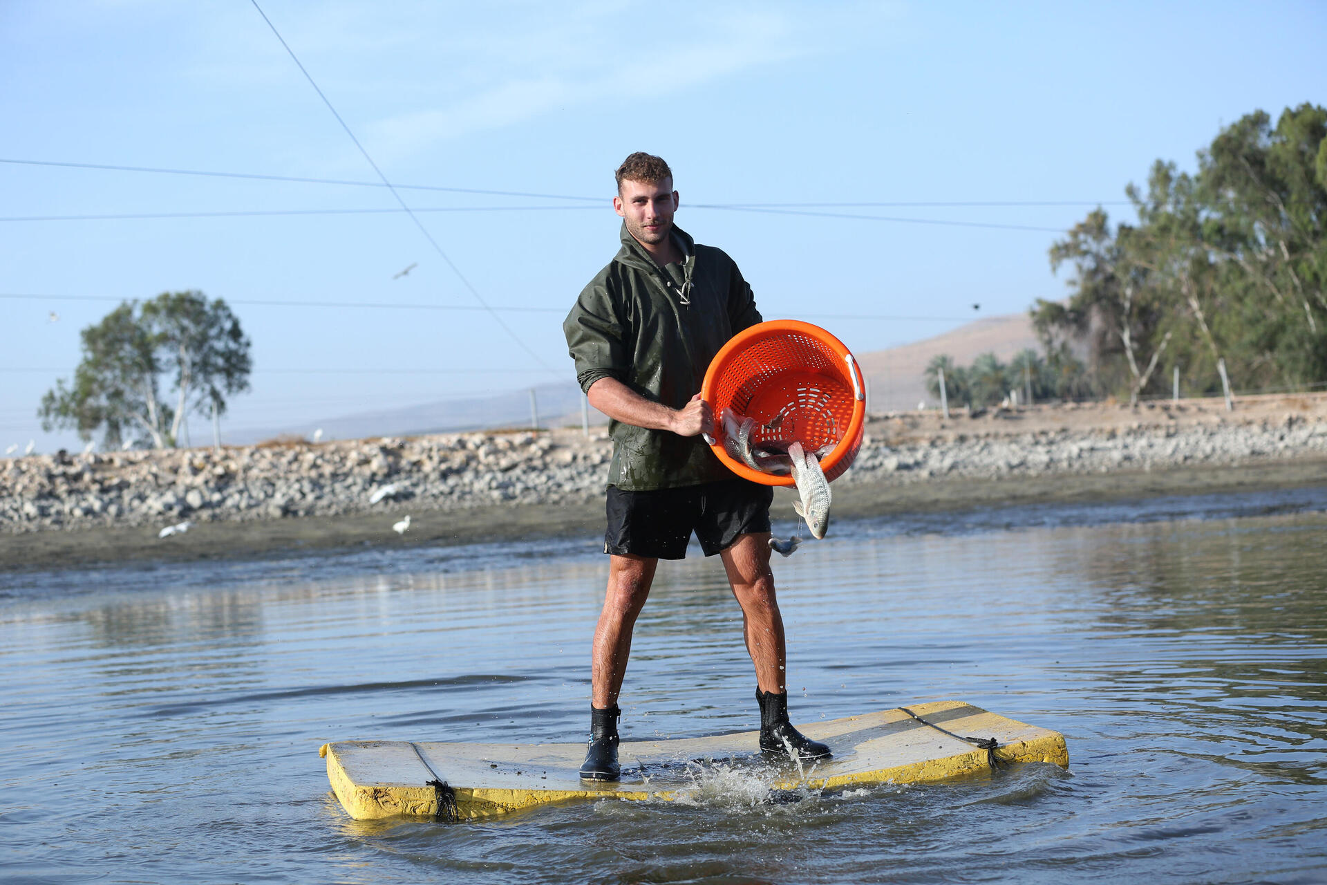 דור חדש של חקלאים. ליאם לוינס בחר לעבוד במדגה של קיבוץ ניר-דוד 