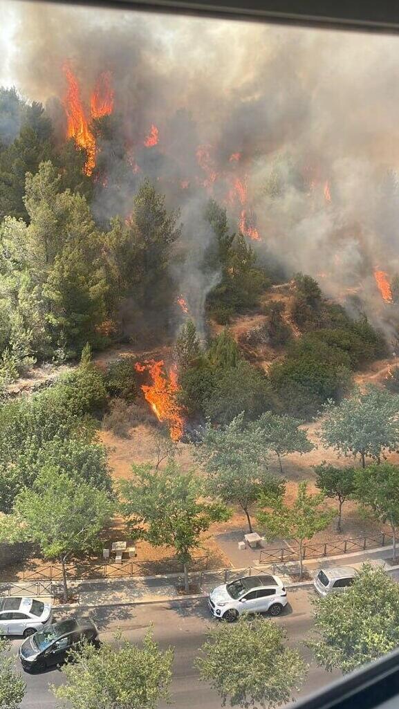 שריפת קוצים בעין כרם