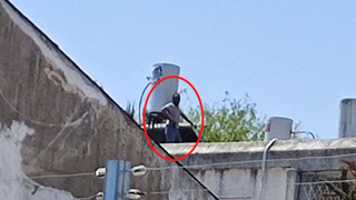 בן רצח את אמו ומתבצר על גג בניין ברחובות