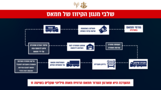 גרפיקות המתארות את מנגנון הקיזוז