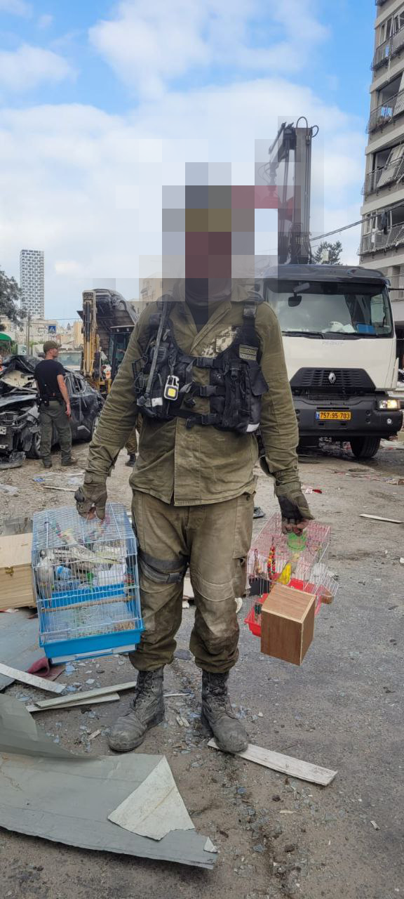 גם ציפורי מחמד חולצו מבניינים