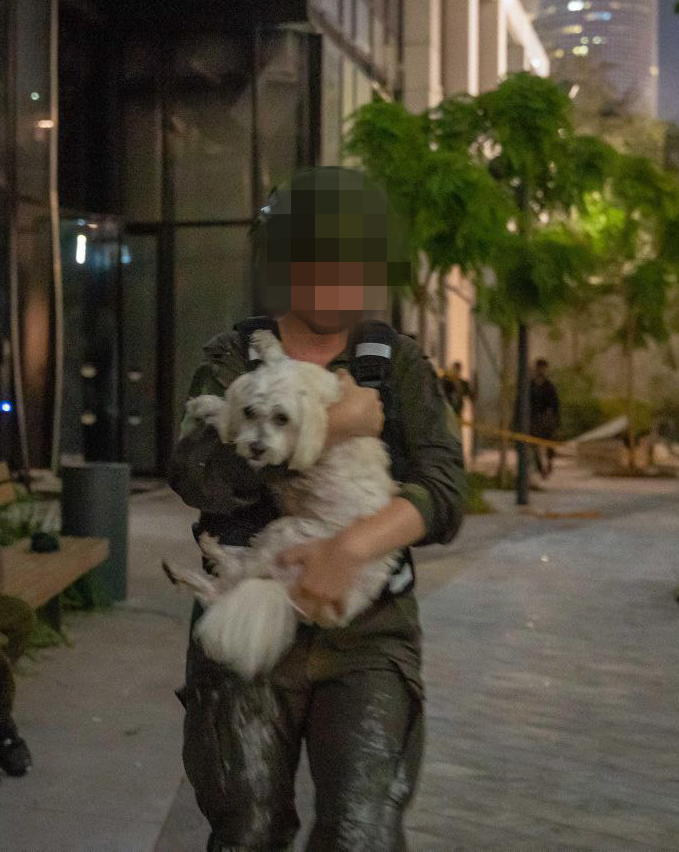 חילוץ כלב בתל אביב