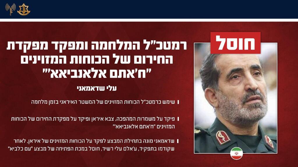 אינפוגרפיקה בנושא חיסולו של עלי שאדמאני