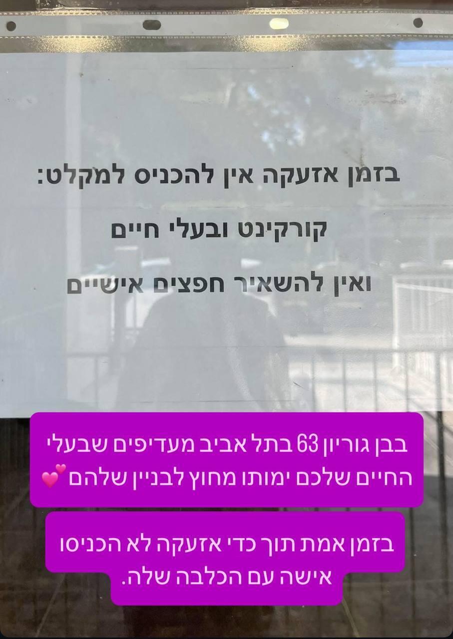 אלונה סער מלחמה מקלטים