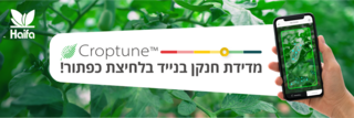 שדות