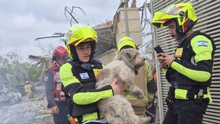 ברני מחולץ מהבית ההרוס