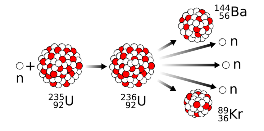 A process that releases immense energy: a neutron enters the nucleus of a uranium-235 atom, briefly forming uranium-236, which then splits into krypton and barium atoms, releasing three neutrons that can continue the chain reaction 