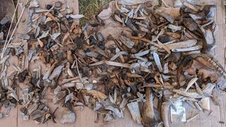 ממצאים שהתגלו באתר 23 במונגוליה