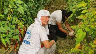  סמל ישראל נתן רוזנפלד ז"ל