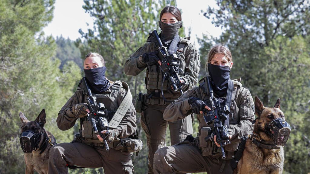 לוחמות עוקץ