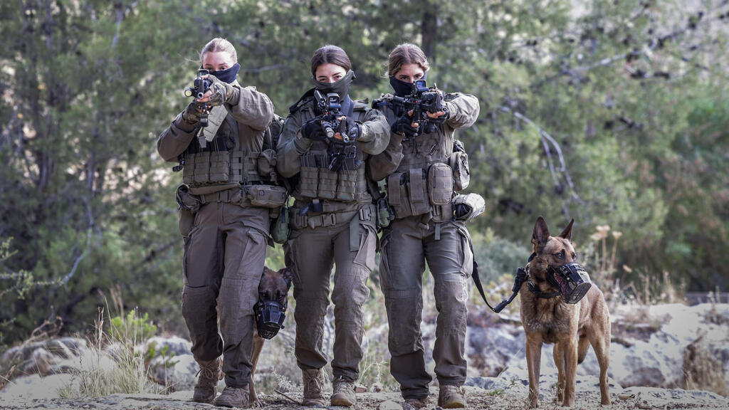 לוחמות עוקץ