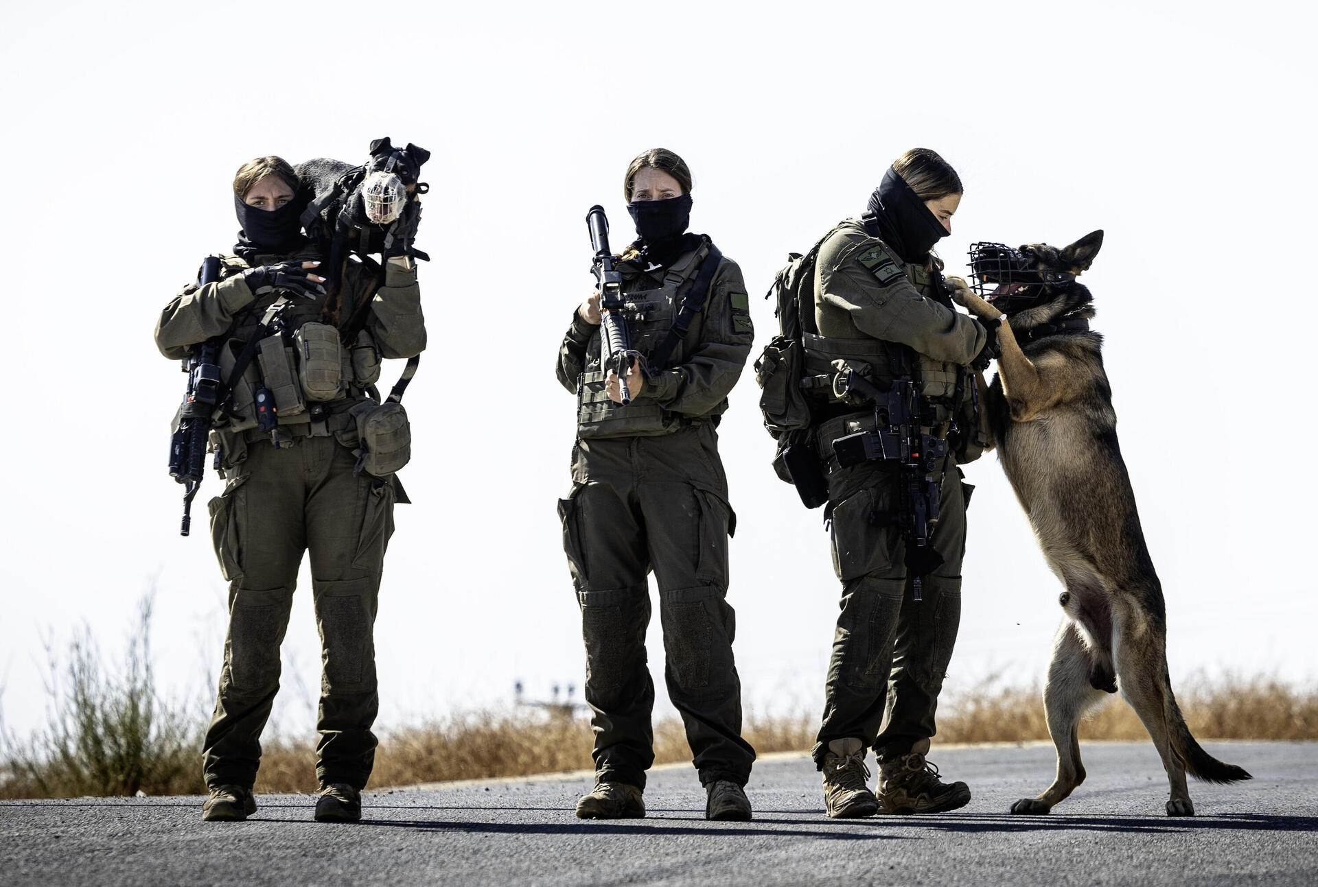 הלוחמות של יחידת העוקץ  וכלבי הקרב שלהן 