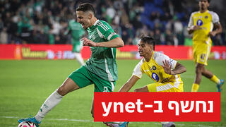 חזיזה מול פטאצ'י