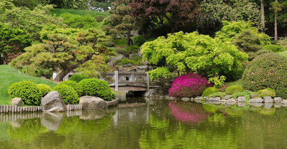 A tour among approximately 14,000 plant species. The Brooklyn Botanic Garden (Photo: King of Hearts, Wikipedia) A tour among approximately 14,000 plant species. The Brooklyn Botanic Garden