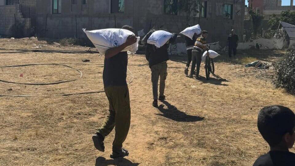 תמונות ממתחם אבו שבאב ברפיח