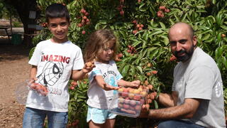 למרות המלחמה, הייצוא גדל
