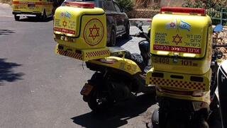 יבנה 