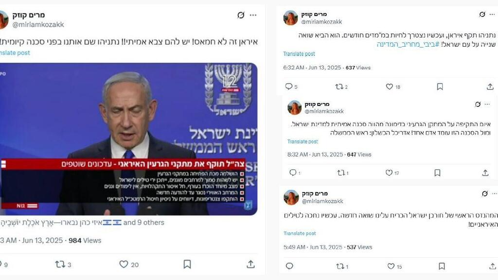 השפעת רשתות זרות ואיראניות 