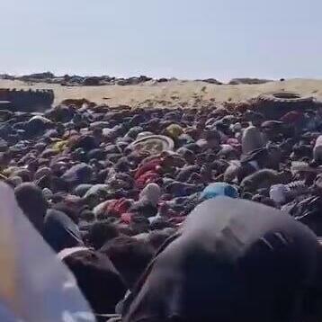 ירי בזמן חלוקת מזון ברצועת עזה