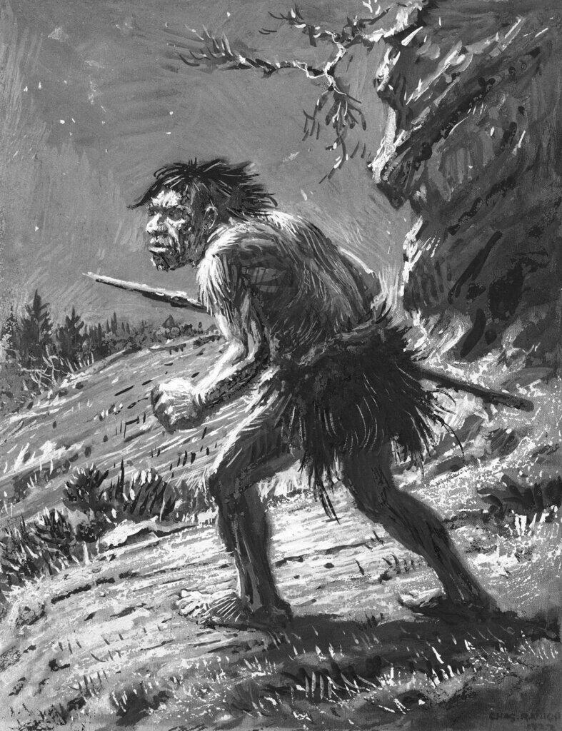 Illustration of an ancient humanoid (Photo: AP) איור של האדם הניאנדרטלי