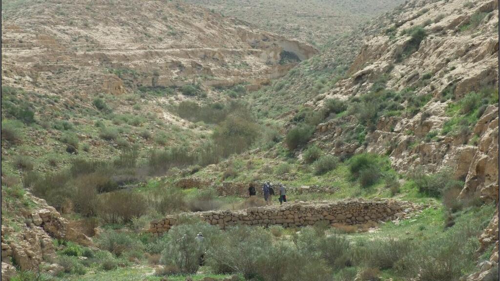Byzantine agricultural infrastructure in Negev Desert (Photo: Yotam Sofer, University of Haifa) מערכת חקלאית בקרבת שבטה