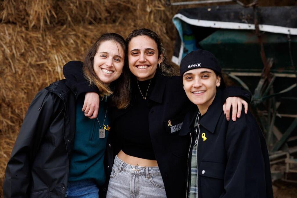 דורון שטיינברכר 