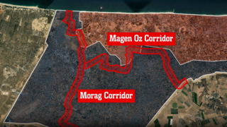 magen