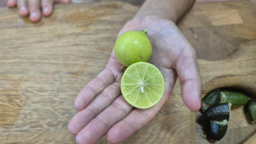 לימון פרסי