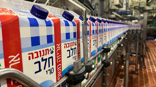 קרטוני חלב של תנובה במפעל ברחובות