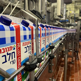קרטוני חלב של תנובה במפעל ברחובות