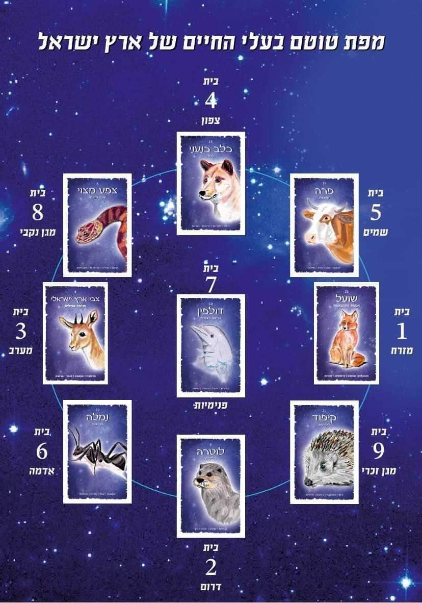 מפת טוטם לילדה אינדיאנית