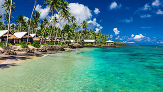 חוף טרופי עם עצי דקל קוקוס ווילות באי סמואה